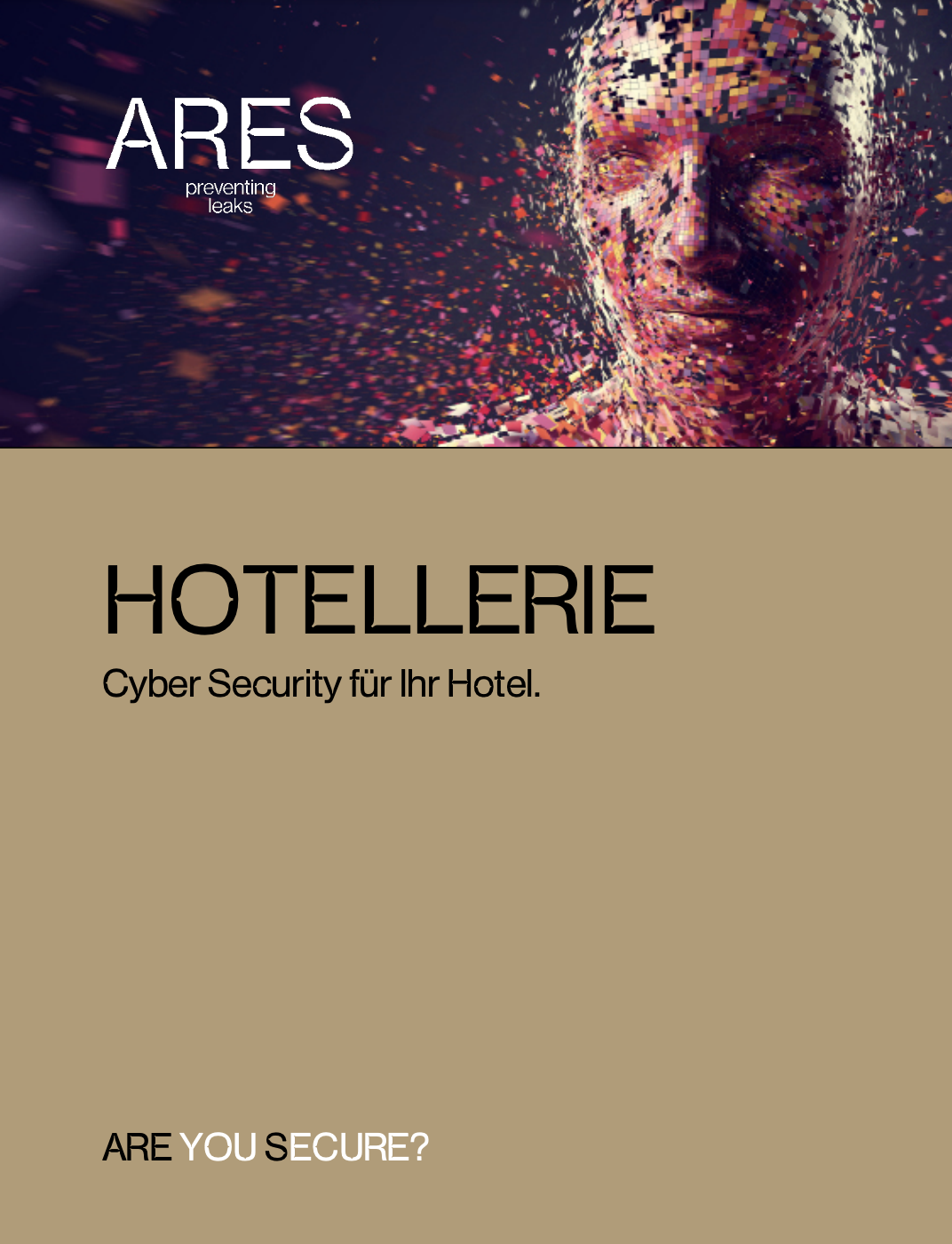 Cybersecurity for the Hotel Industry